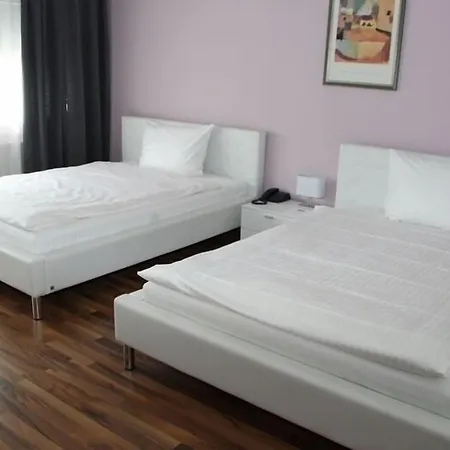 Parkhotel David / Basel 3* Lörrach