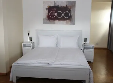 Parkhotel David / Basel Hotell Lörrach