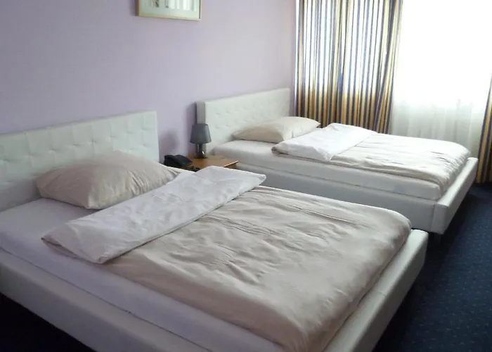 Hotel Parkhotel David